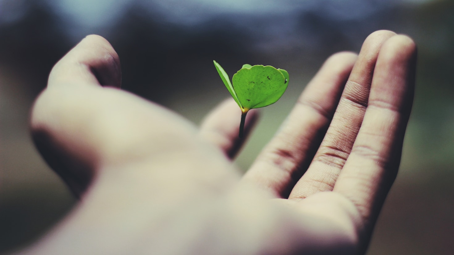 Spirituelle Entwicklung: Ein Weg zu sich selbst